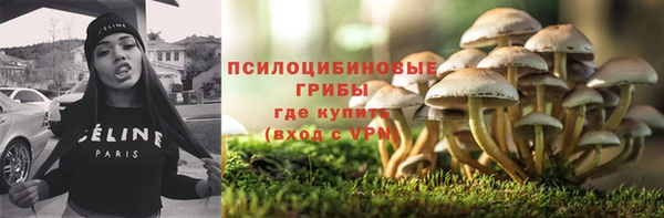 спайс Баксан