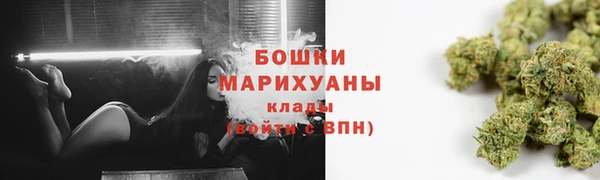ГАЛЛЮЦИНОГЕННЫЕ ГРИБЫ Балабаново
