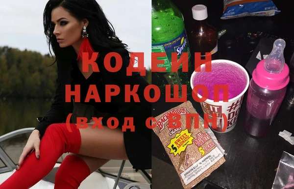 ПСИЛОЦИБИНОВЫЕ ГРИБЫ Арсеньев