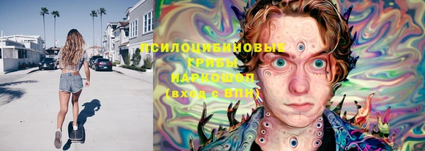 спайс Баксан
